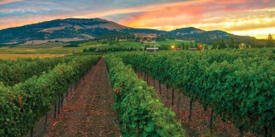 Winery Vineyard workers Compensation