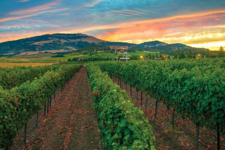 Winery Vineyard workers Compensation