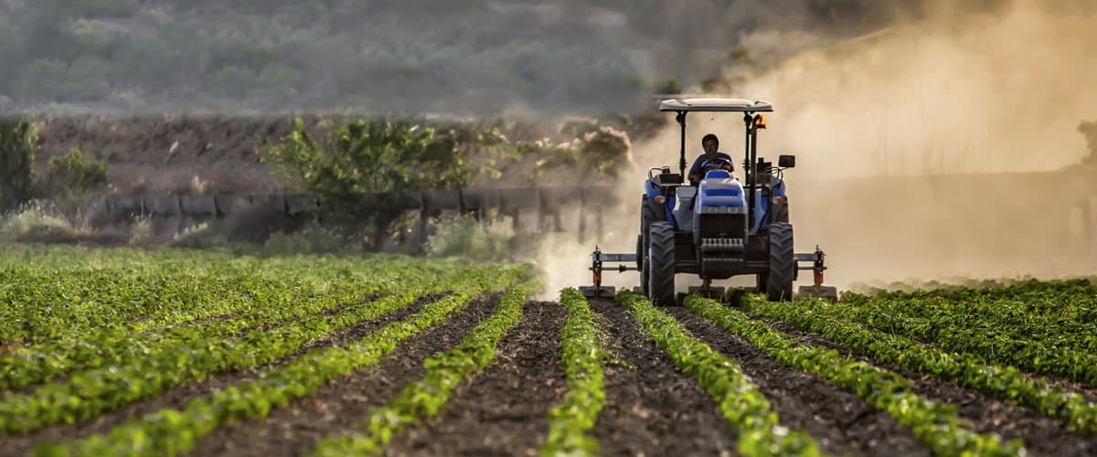 Farm Labor Workers' Compensation Insurance | UnderWrite Insurance