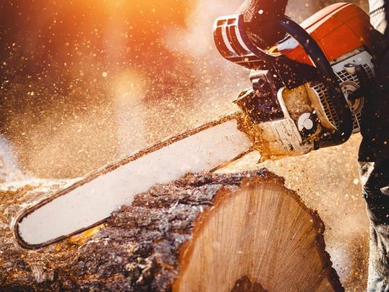 Tree removal workers compensation insurance Tree removal workers compensation insurance