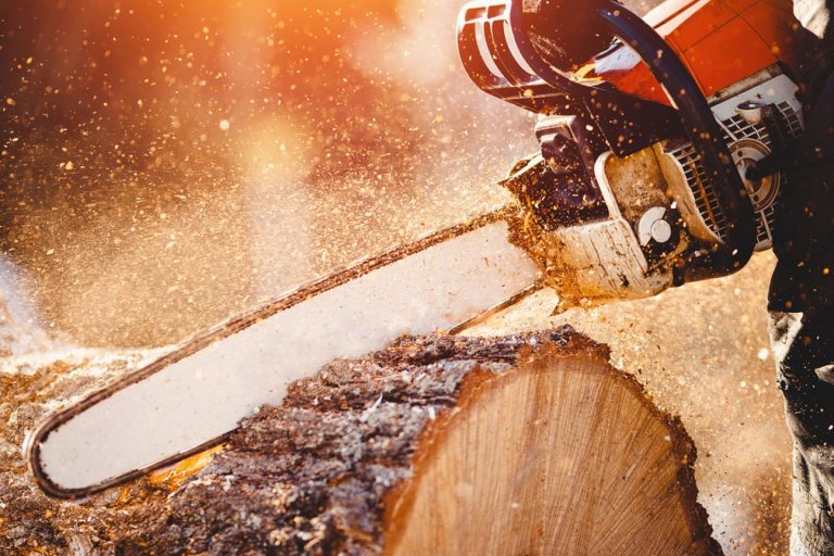 Tree removal workers compensation insurance